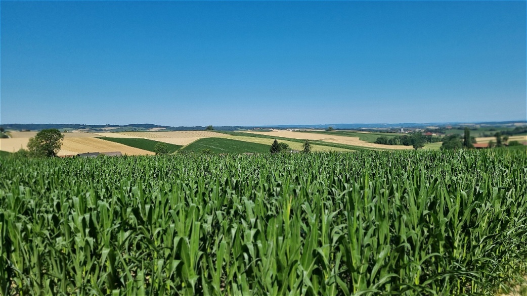 Innviertelblick