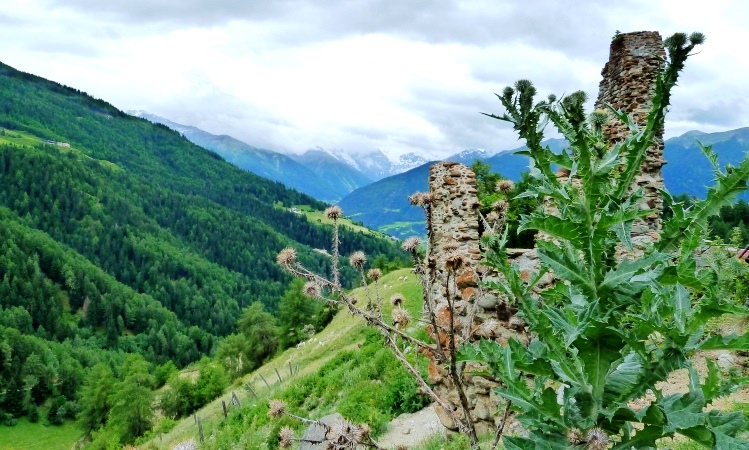 Matschertal - der Ortler hüllt sich in Wolken