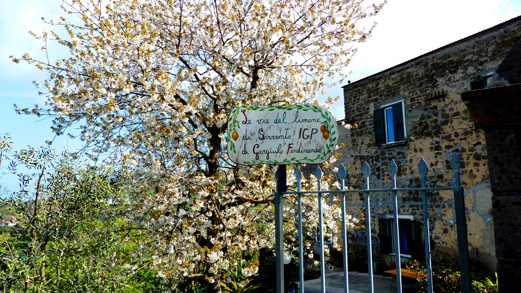 Vor Ferdinando Gargiulos' Anwesen