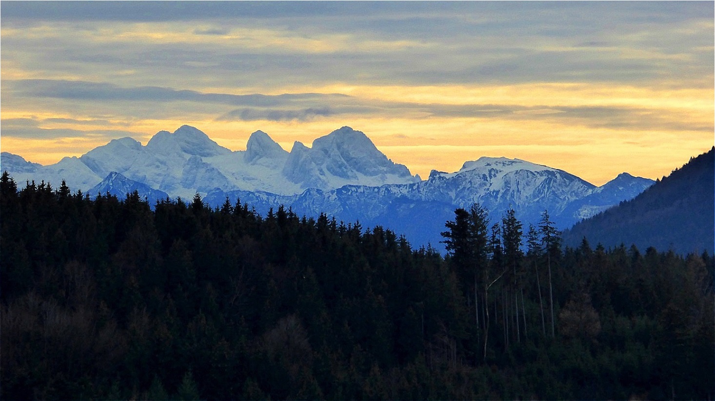 Der Dachstein über dem Krenwald