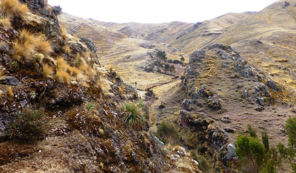 Wildes Hochland