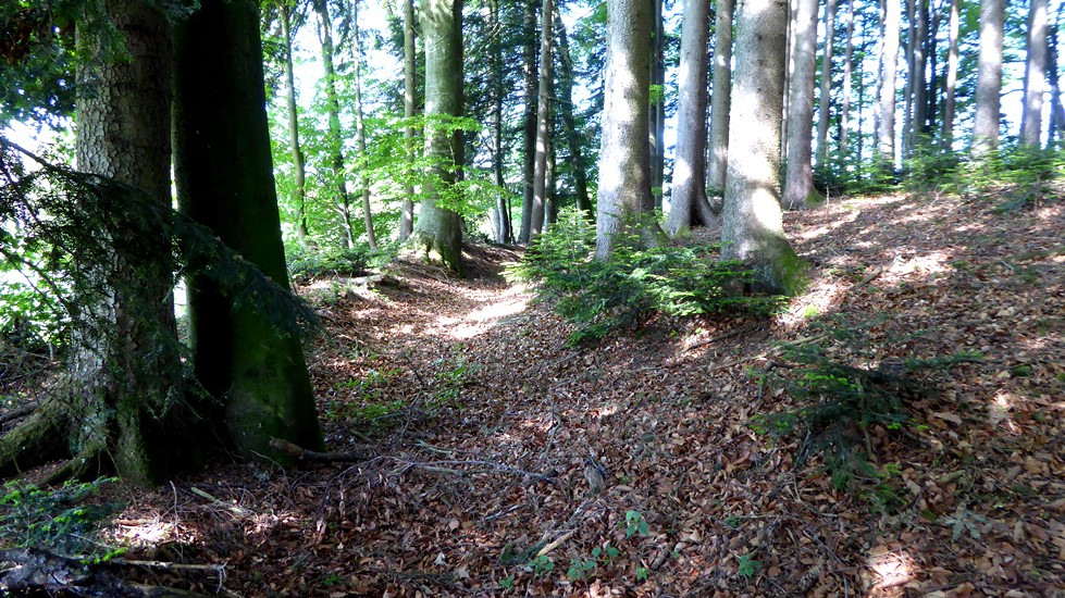 Ein Graben läuft um das gesamte Objekt