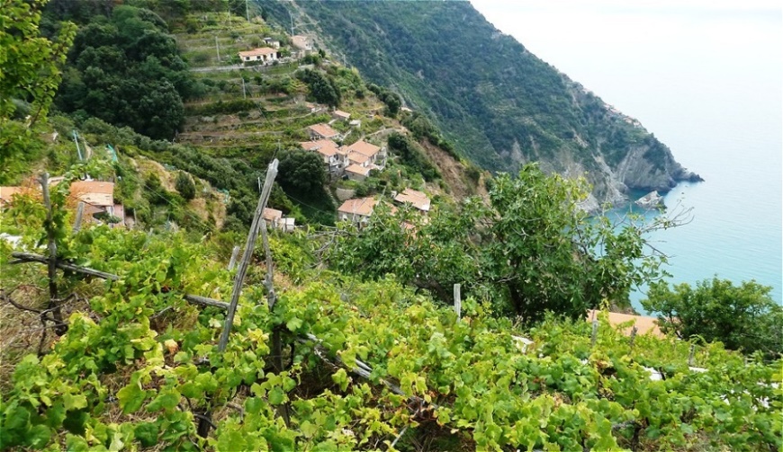Die Häuser von Fossola klammern sich an den Berghang