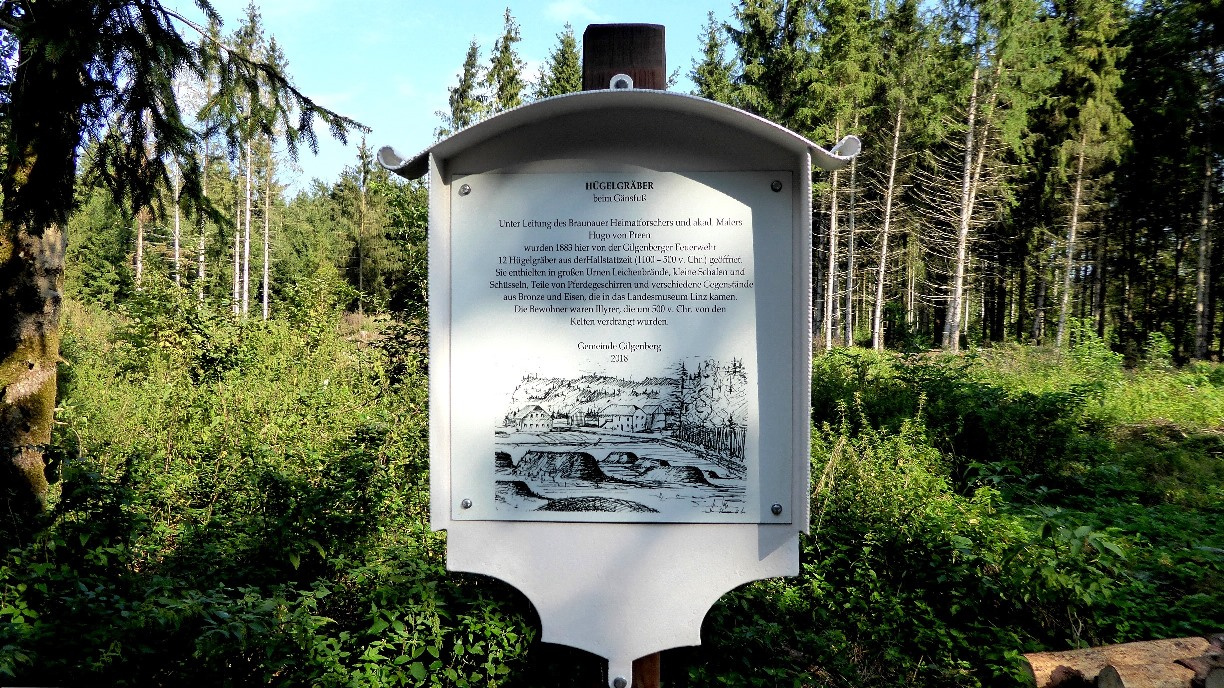 Grabungsstelle August 2019