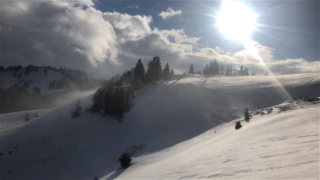 Zwölferhorn 28.02.2020