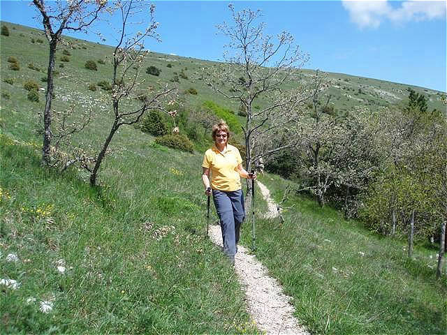 Auf dem Weg nach Spello - abwärts auf der Südseite des Subasio