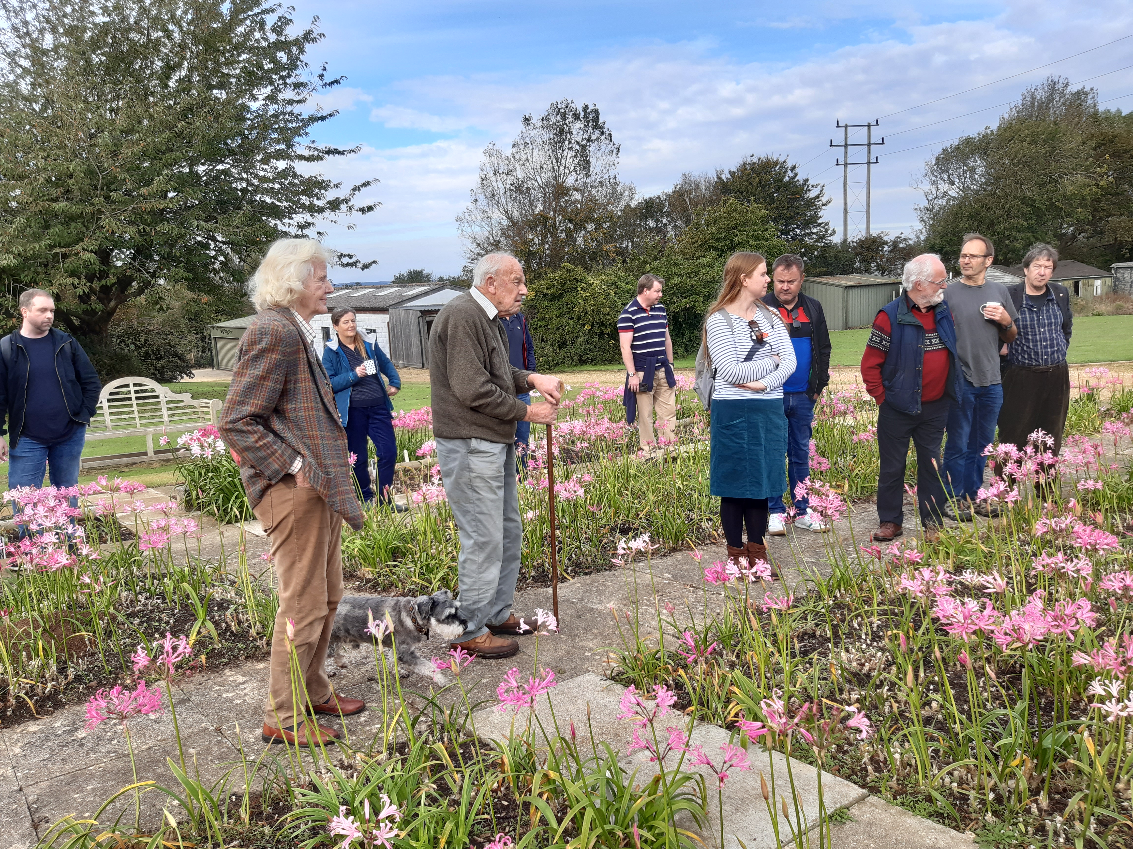 Members admiring the hardy Nerine Bowdenii grown by Ken Hall.