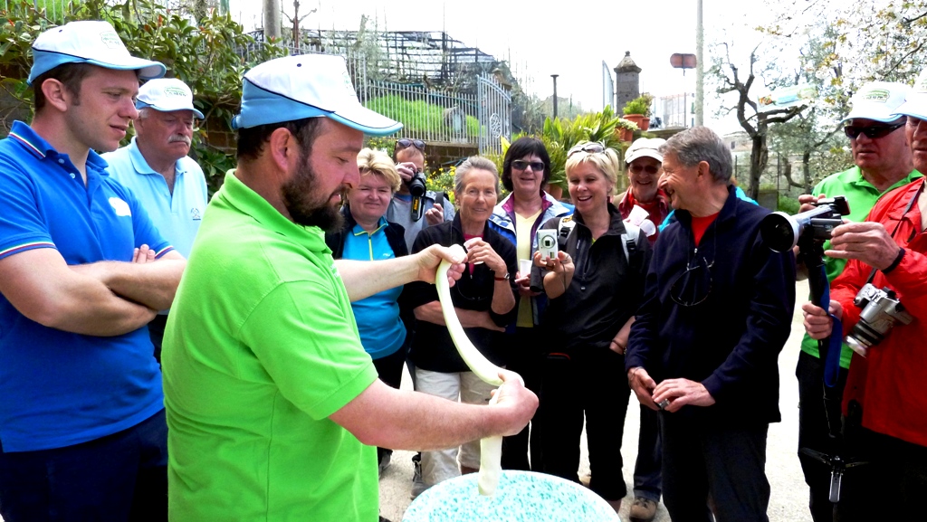 Erste Form des Mozzarella