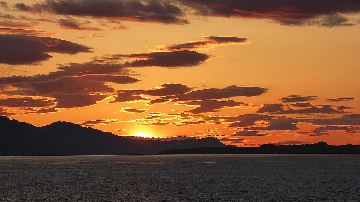 Wolkenfische am Himmel !