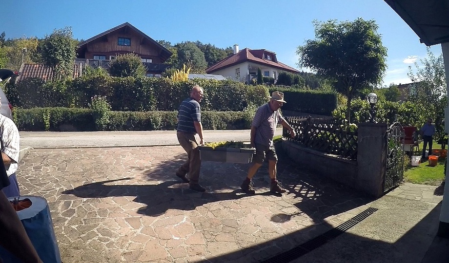 Neues Traubengut wird "angeliefert" !
