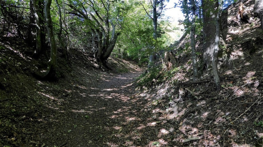 Historischer Weg - der östliche Kuchlersteig