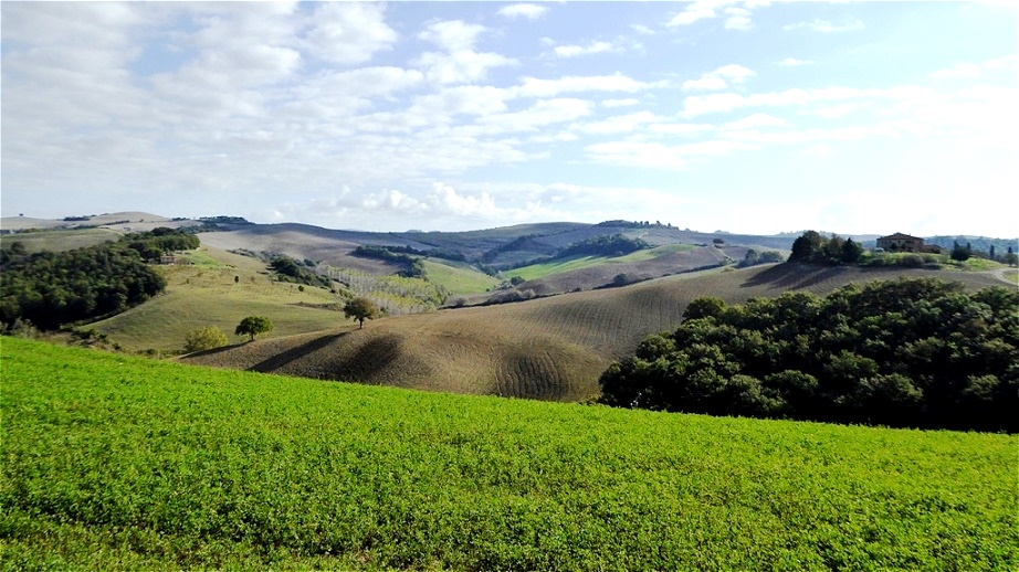Die Hügellandschaft der Crete Senesi wird landwirtschaftlich intensiv genutzt