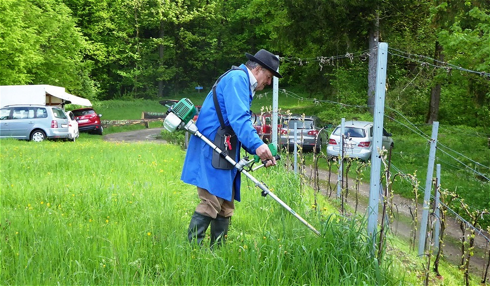 Ausmähen der ersten Reihe