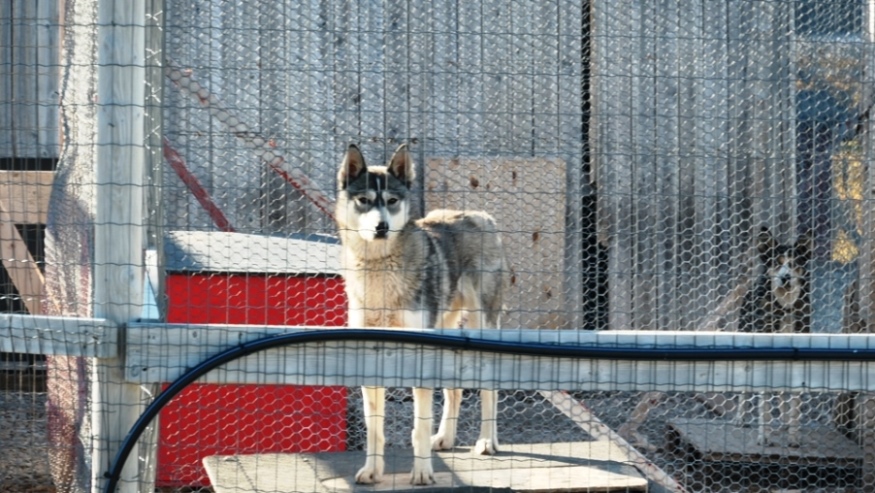 Es herrscht Langeweile !