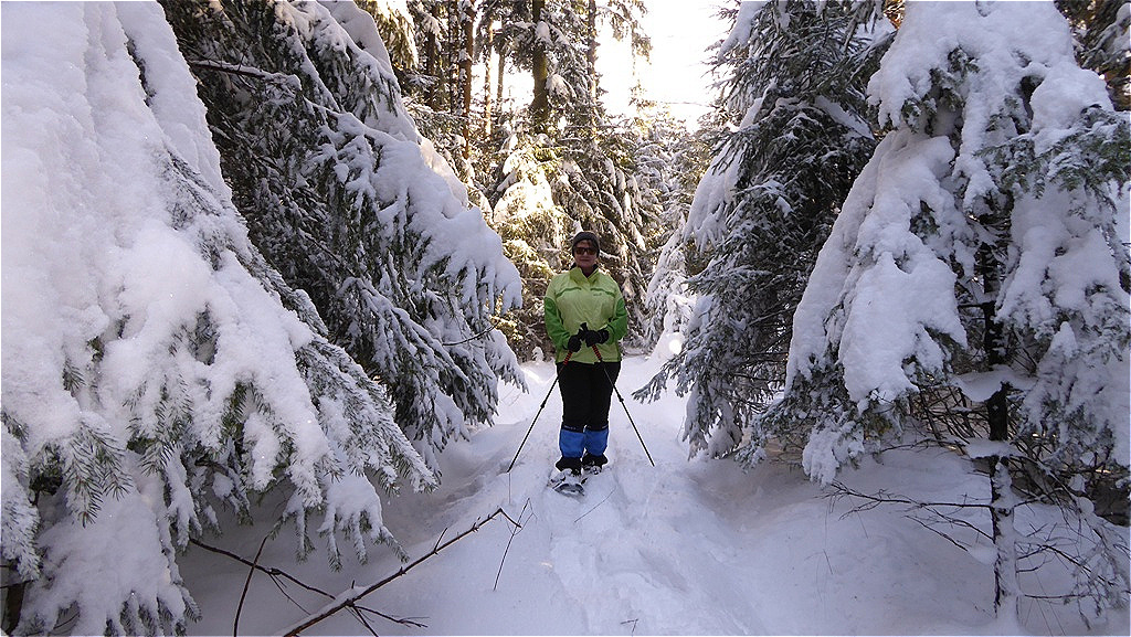 Zwischen den schneebedeckten Bäumen