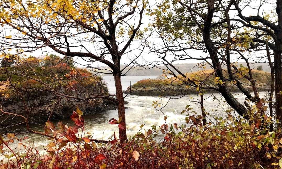 Bei Ebbe ergießt sich das Wasser des Flusses ins Meer