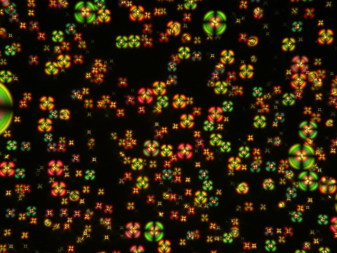 Liquid cyrstal droplets