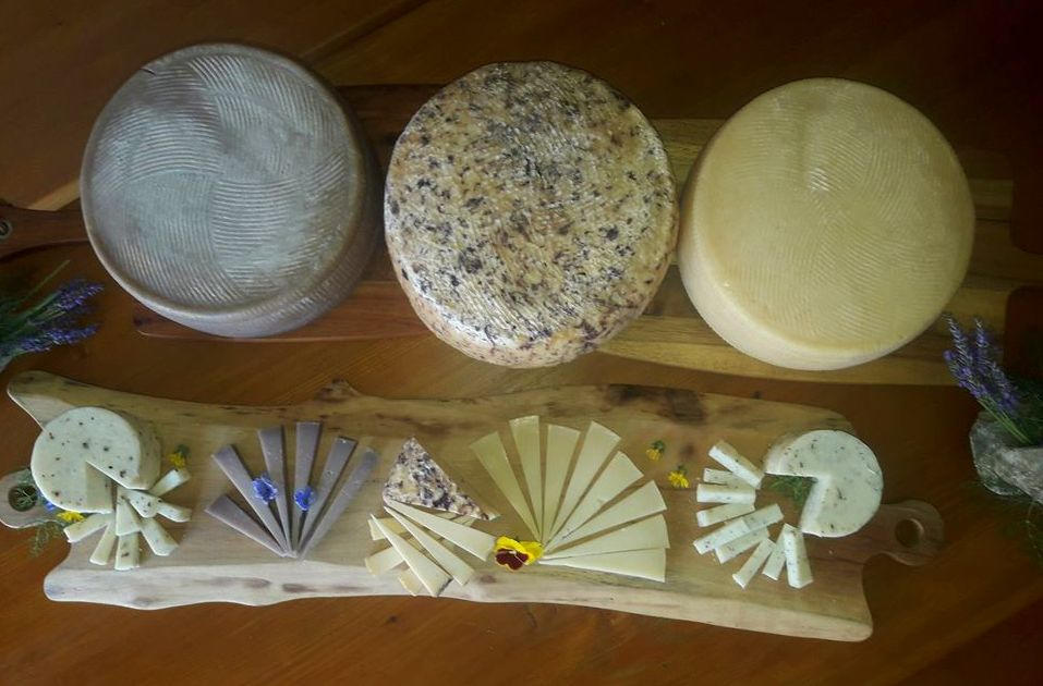 <p class="slider-proj-txt" style="text-align:center">Kmetija Žerjal</p>