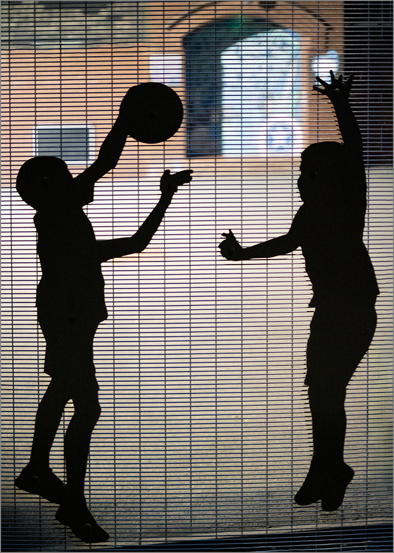 Commended: Playing Ball (Ian Griffiths)
