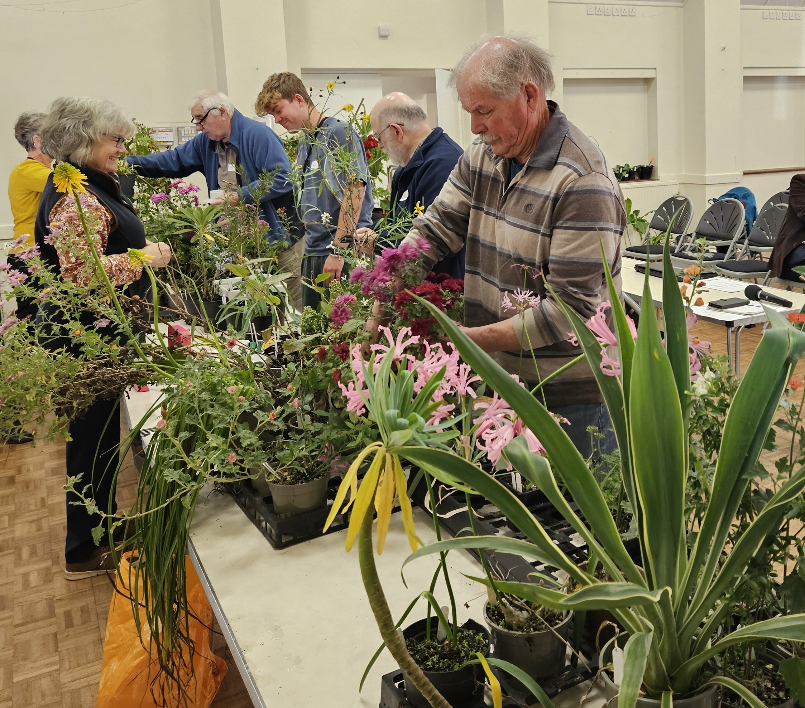 The ever popular Plant Stand