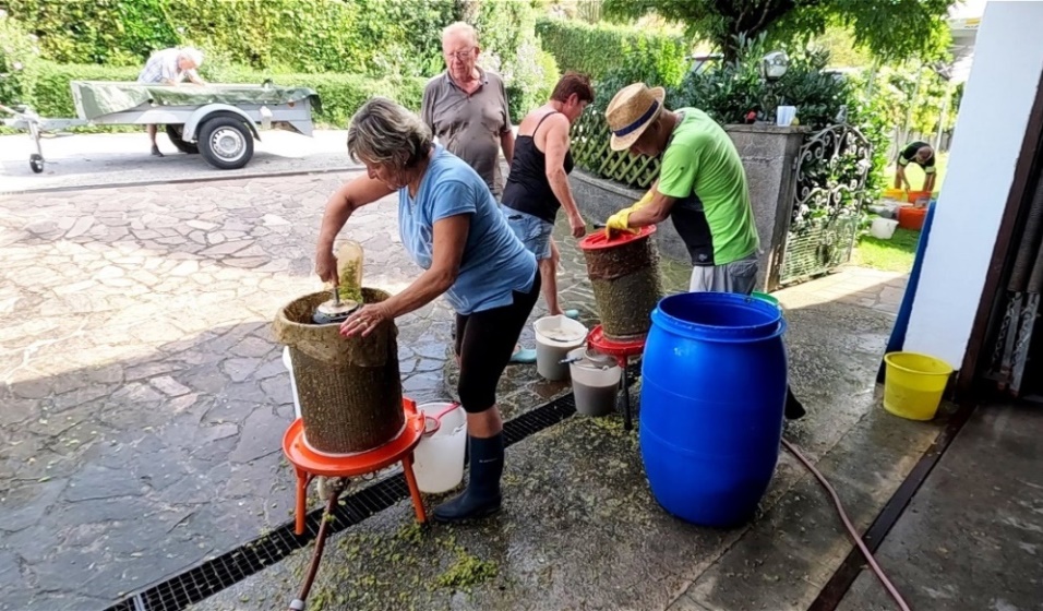 Das Pressgut wird für den Grappabrand in einer Tonne gesammelt