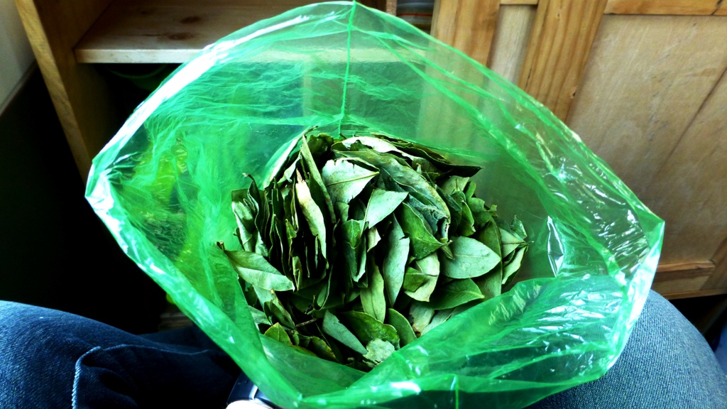 Kokablätter vom Händler nebenan