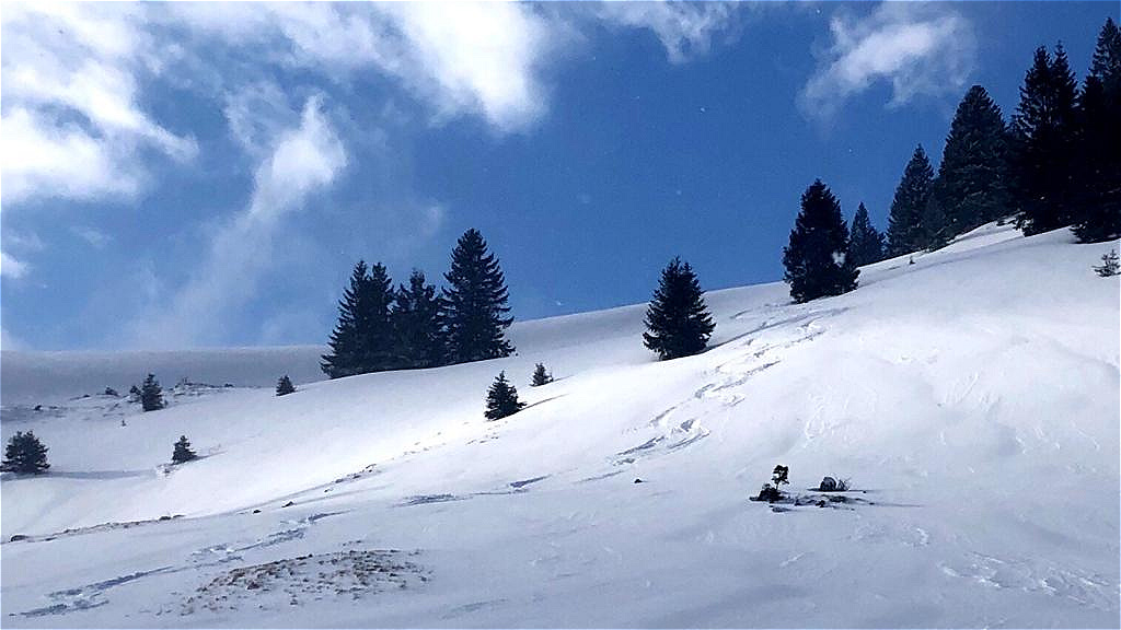 Zwölferhorn 28.02.2020