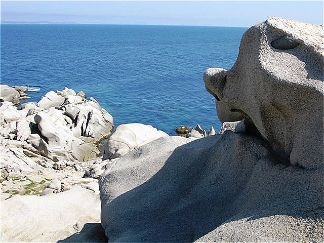 Ein "Mann" blickt hinaus aufs Meer