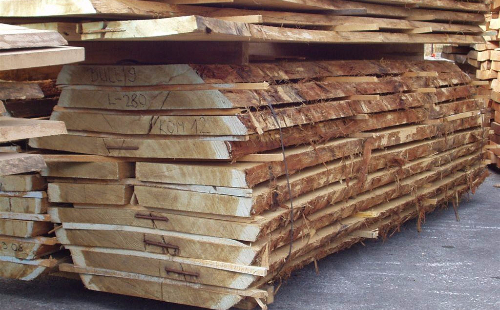 Progast les - radialna tekstura lesa