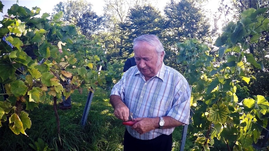 2015_09_17   Zuckertest