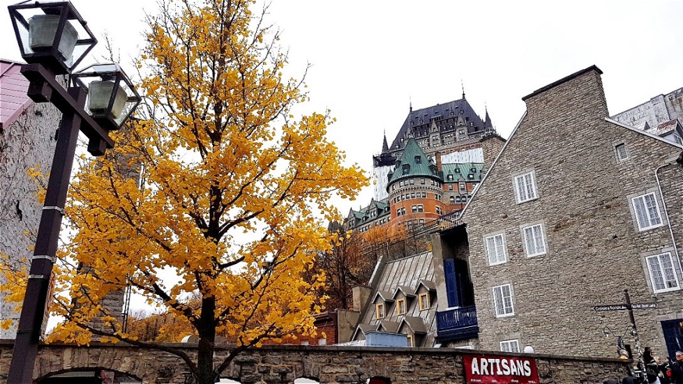 Blick zurück nach oben