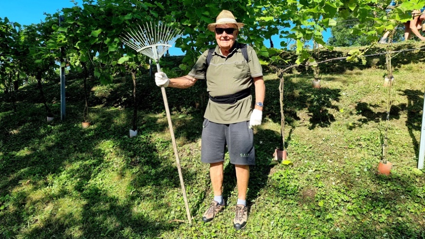 Weinpate "Zehenttropfen" - Franz Denk