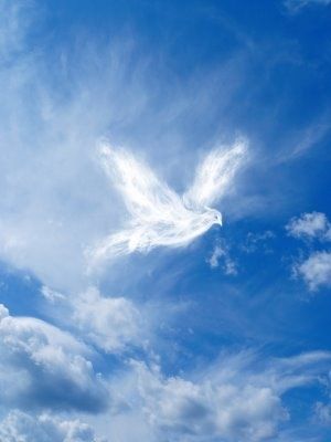 https://0501.nccdn.net/4_2/000/000/081/4ce/30.jpg