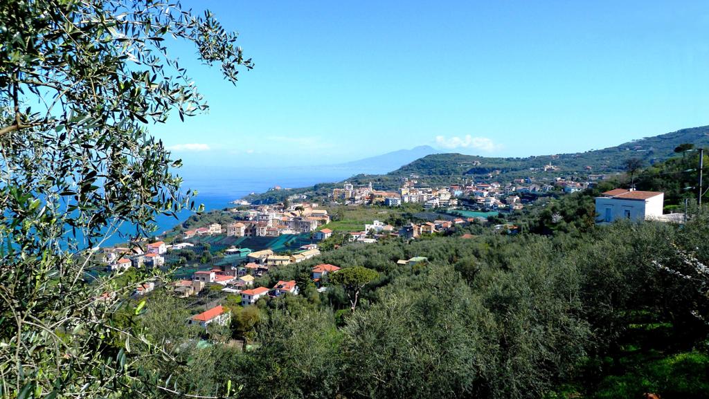Fruchtbarer Boden
Die Halbinsel von Sorrent ist für ihre großen Zitronen berühmt