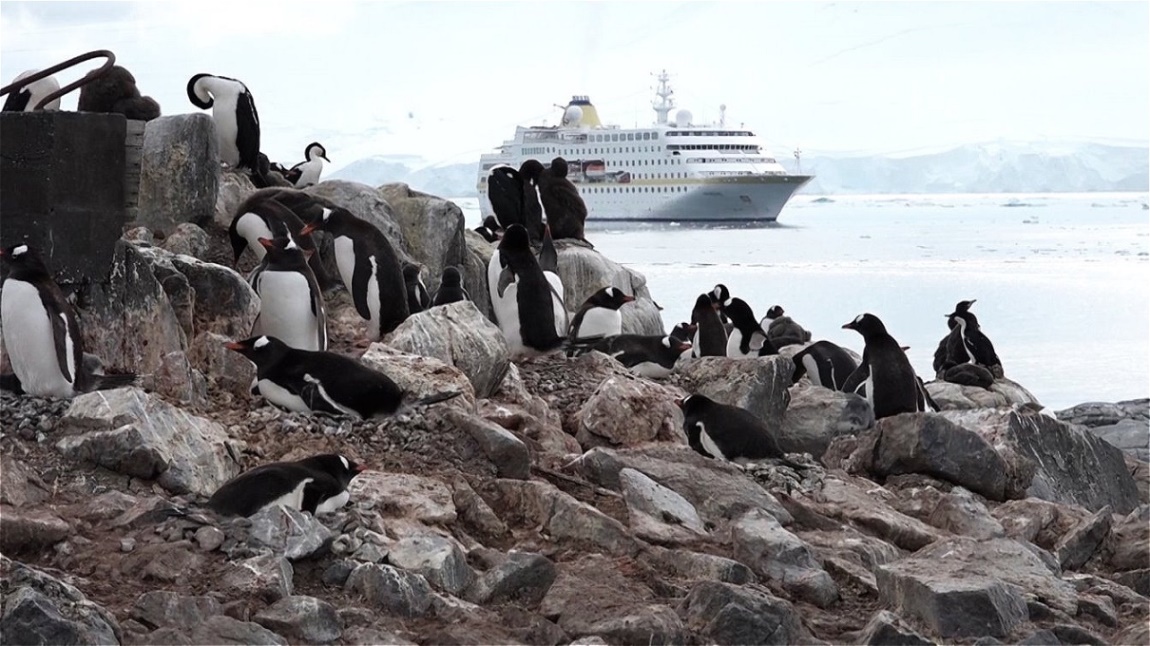 Unser Schiff - MS Hamburg