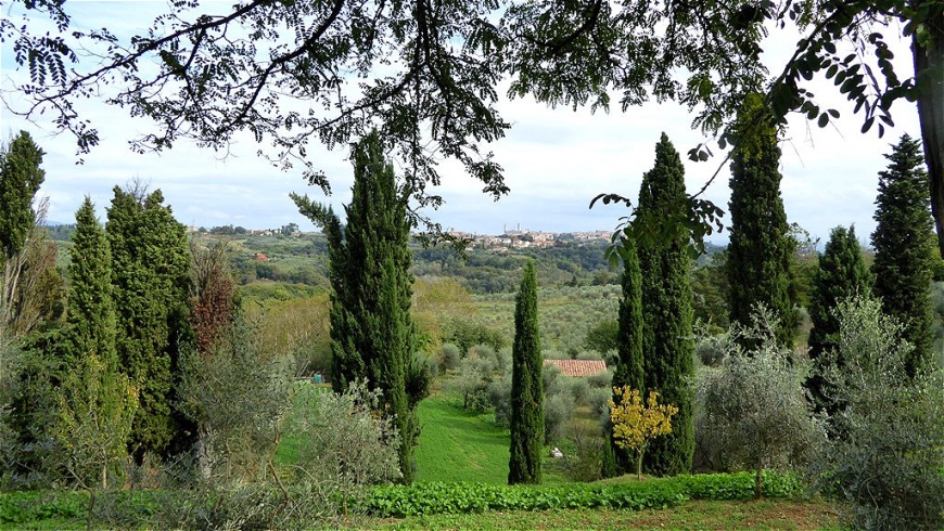 Siena taucht am Horizont auf !