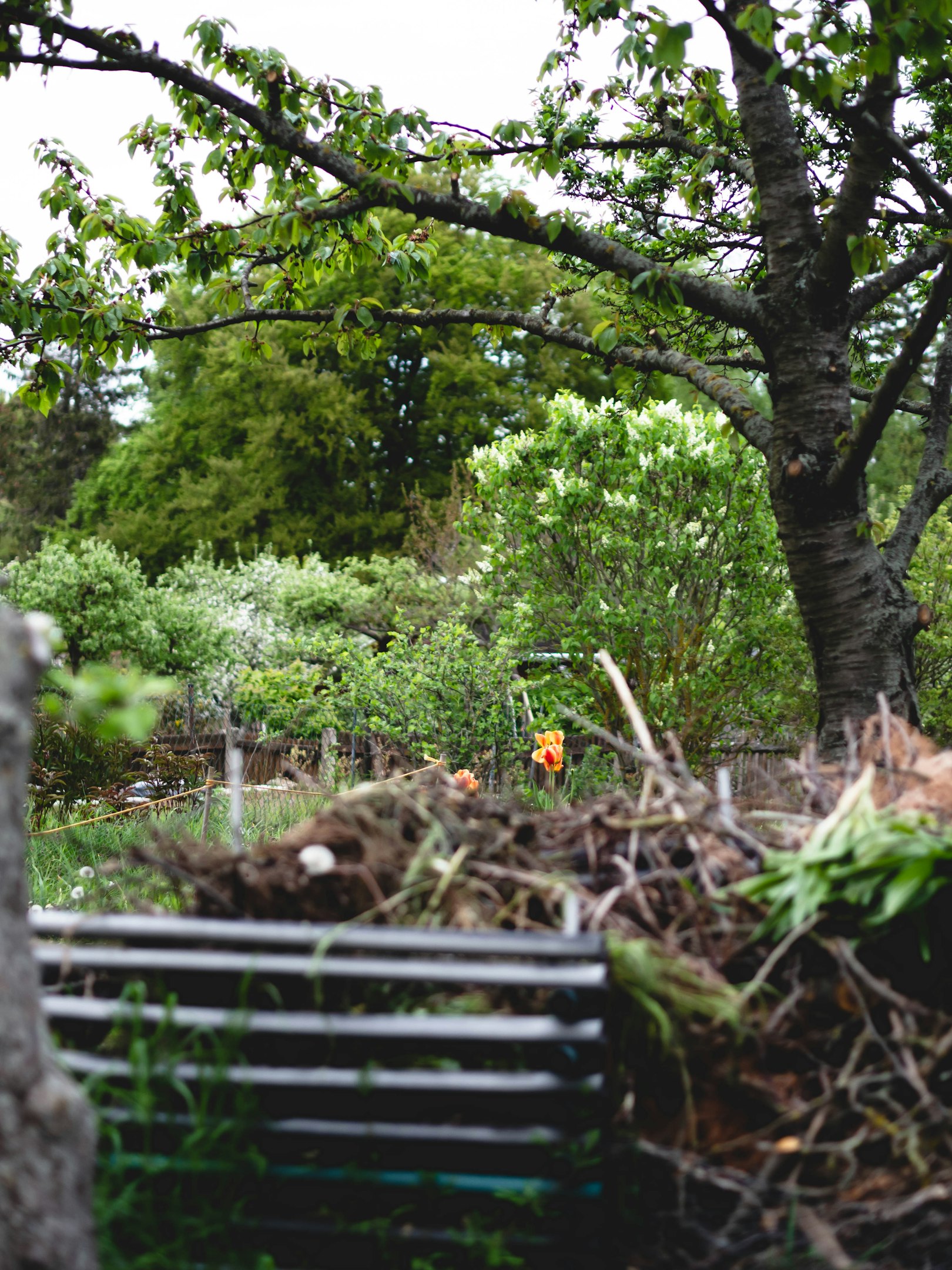 a pile of trash sitting next to a tree a pile of trash sitting next to a tree