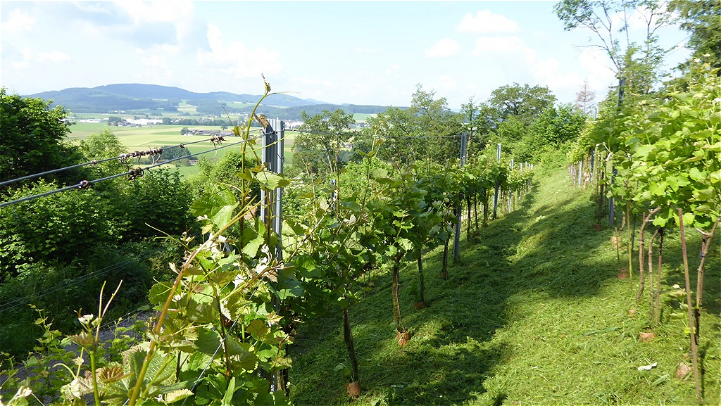 Eine Zeile - frisch frisiert !