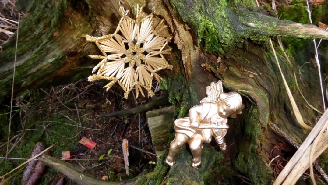 Weihnachten ist nicht mehr weit !