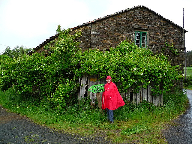 Und wieder ein Regenschauer !