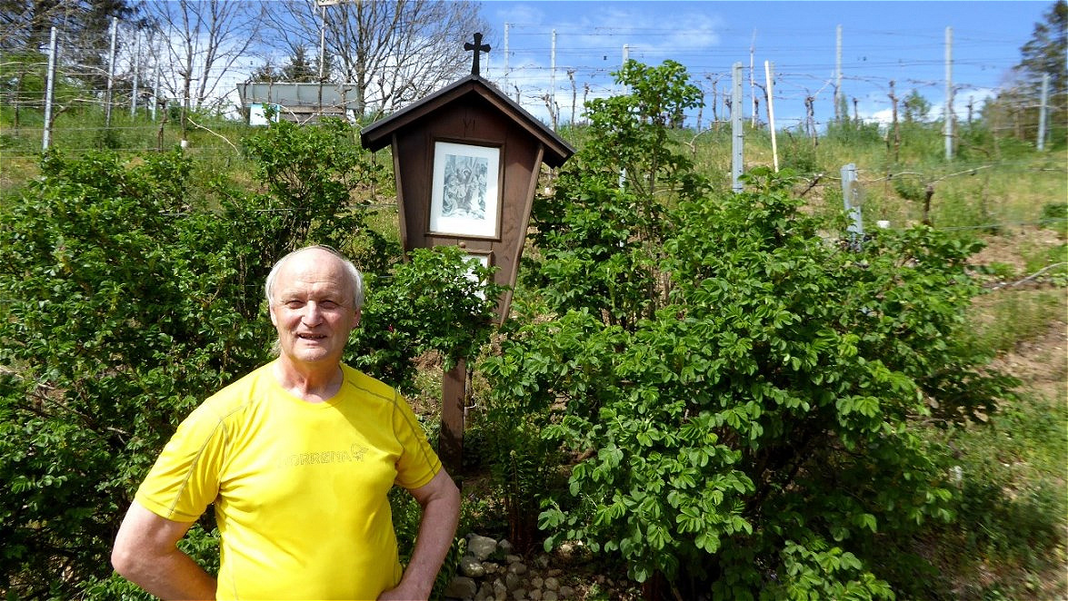 Ich arbeite auch mit !