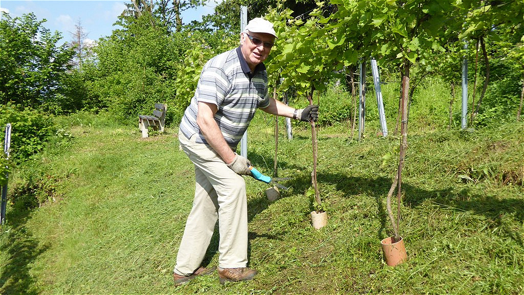 Franz bei der Feinarbeit mit der Schere