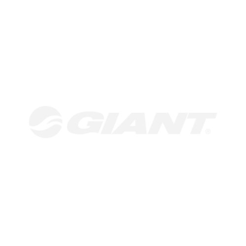 https://0501.nccdn.net/4_2/000/000/082/8ea/giant-logo-blanc-square.png