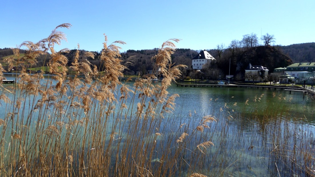 Schloss Mattsee