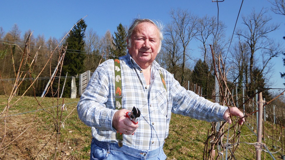 2012_03_14  Lehrmeister für Rebenschnitt