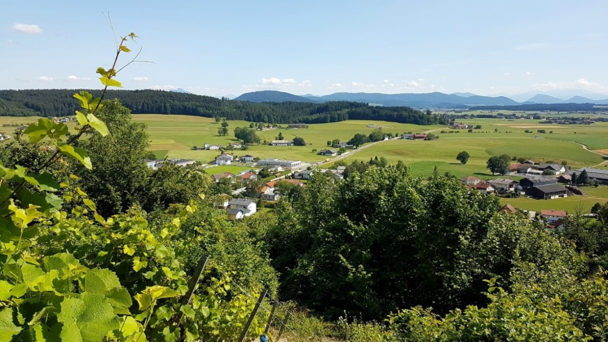 10. Juli - Auslichten und Kürzen