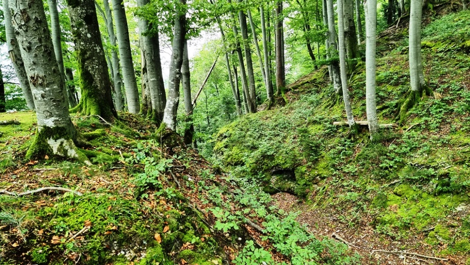 Ein tiefer Graben im Konglomeratgestein