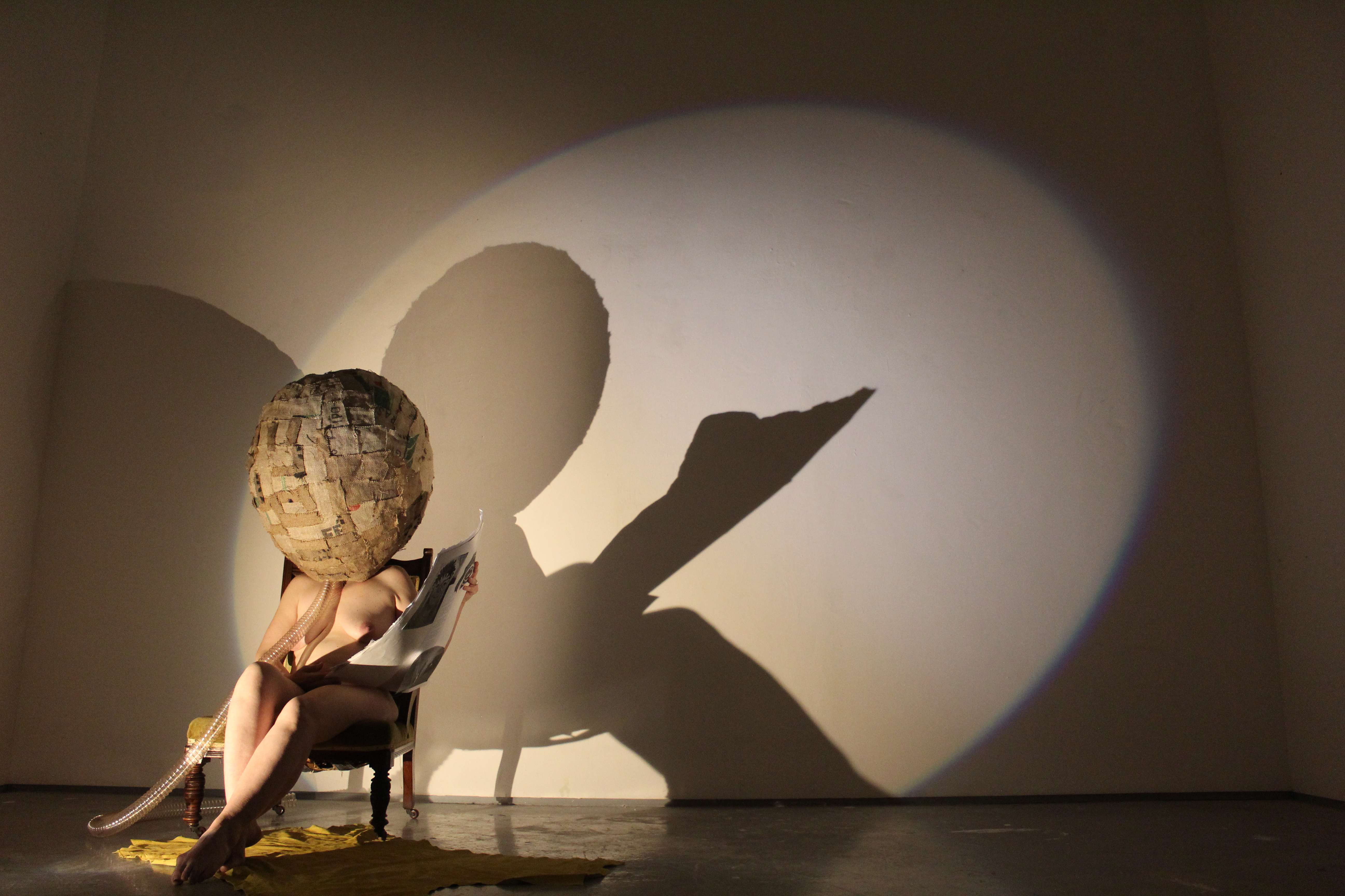https://0501.nccdn.net/4_2/000/000/083/84e/egg-head-with-shadows.jpg
