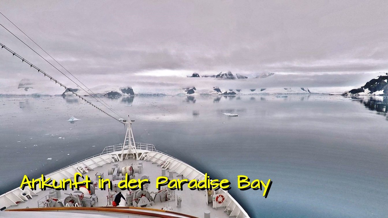 Blick auf das antarktische Festland