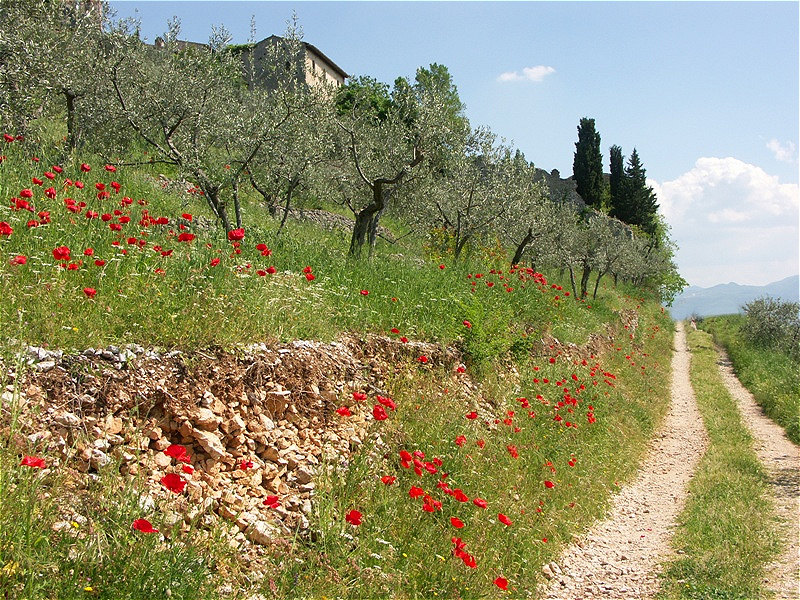 Weg nach Clitunno